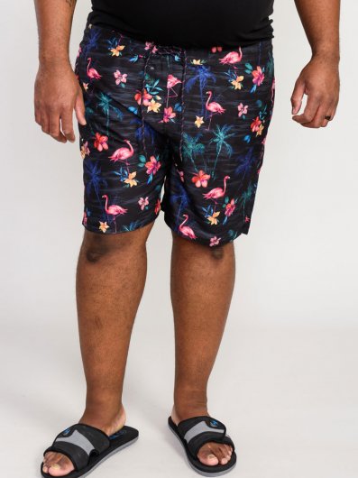 CAMPTON-D555 Flamingo And Palm Tree Printed Swim Shorts-Black-4XL