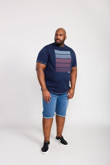CRANSFORD-D555 Gradient Line Printed T-Shirt-Kingsize Assorted Pack B-(3XL-6XL)