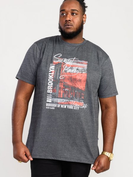 BRAMFIELD-D555 Sunset Park Brooklyn Printed T-Shirt-Kingsize Assorted Pack A-(2XL-5XL)