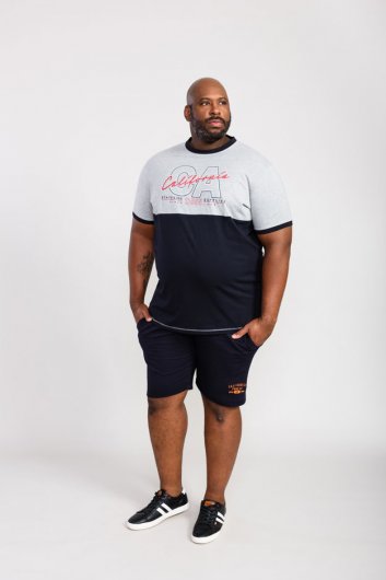 JUNIPER-D555 California Printed T-Shirt With Cut And Sew Panel-Grey-4XL