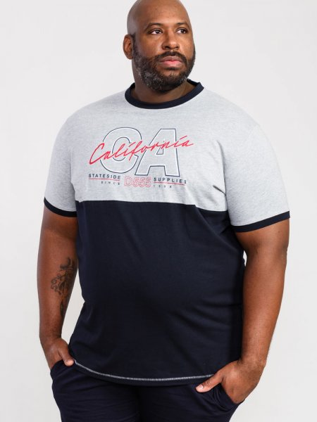 JUNIPER-D555 California Printed T-Shirt With Cut And Sew Panel-Grey-5XL