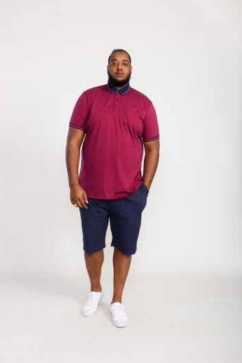 WIGBOROUGH-D555 Fine Stripe Jersey Polo With Chest Pocket-Kingsize Assorted Pack A-(2XL-5XL)