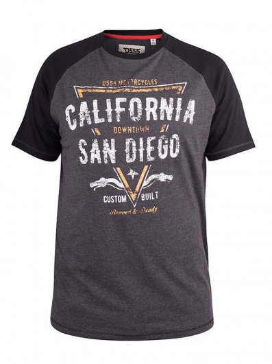 LISMORE-D555 Raglan Sleeve San Diego Printed T-Shirt