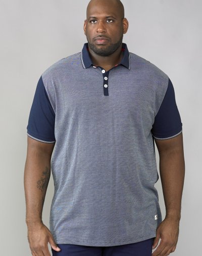 CECIL-D555 Jaquard Polo With Jersey Back and Sleeve