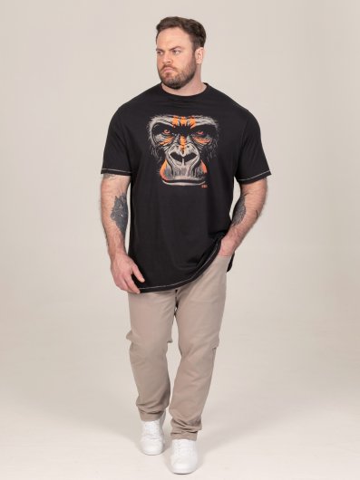 PERKINS