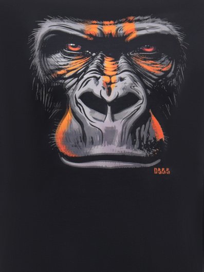 PERKINS