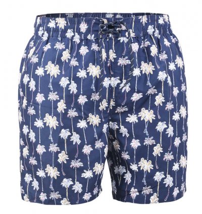 BRADWELL-D555 Palm Tree Printed Swim Shorts