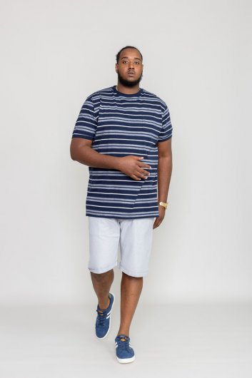 PICCADILLY-D555 Yarn Dyed Jacquard Stripe T-Shirt