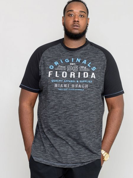 WHITFIELD-D555 Florida Originals Raglan Sleeve Printed T-Shirt